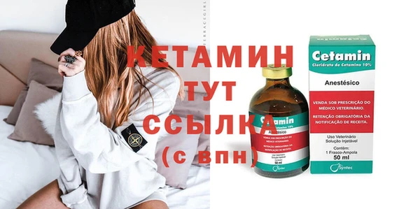 крисы Дмитриев