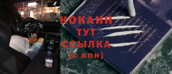 крисы Дмитриев