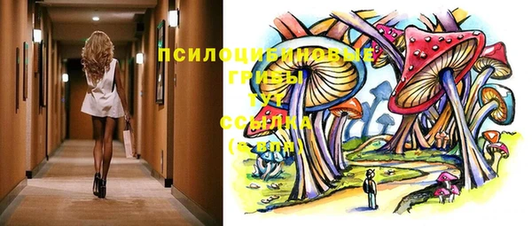 крисы Дмитриев