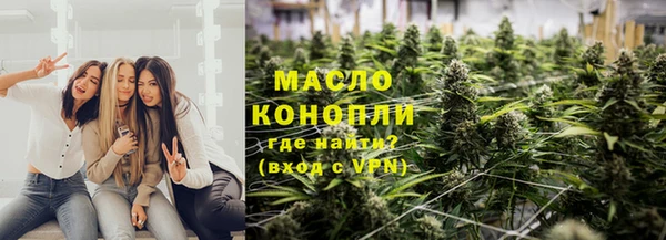 молекула духа Дмитров