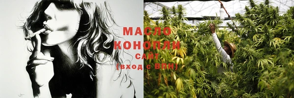 молекула духа Дмитров