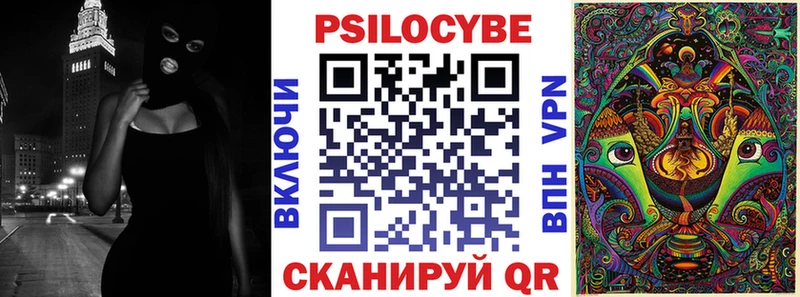Купить где  Нижнеудинск  Галлюциногенные грибы Psilocybe 